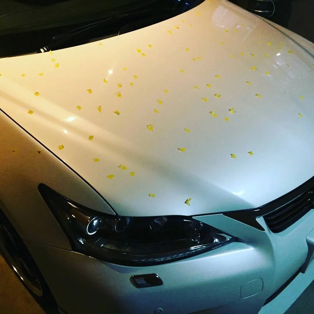 雹害車修理